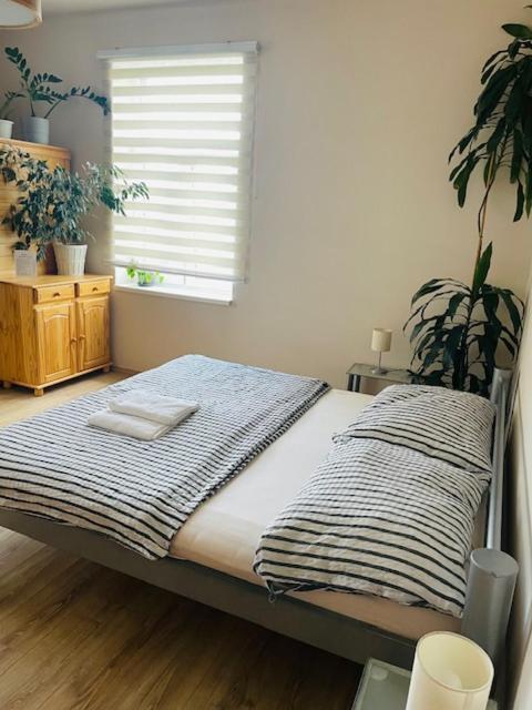 Apartman Lucian 프라하 외부 사진