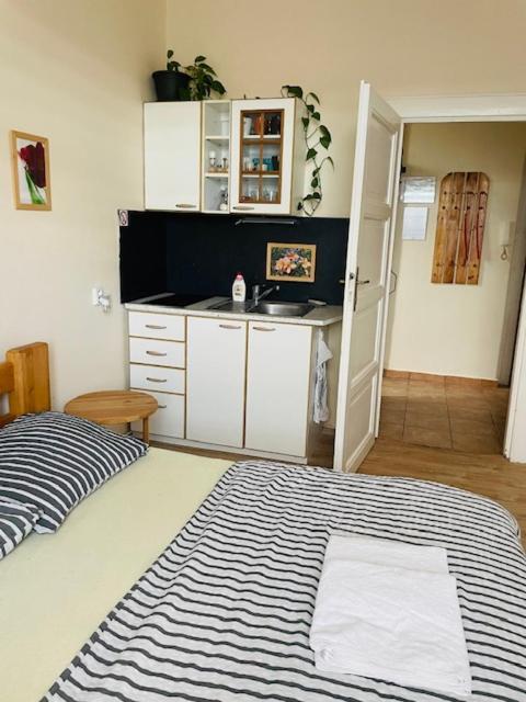 Apartman Lucian 프라하 외부 사진