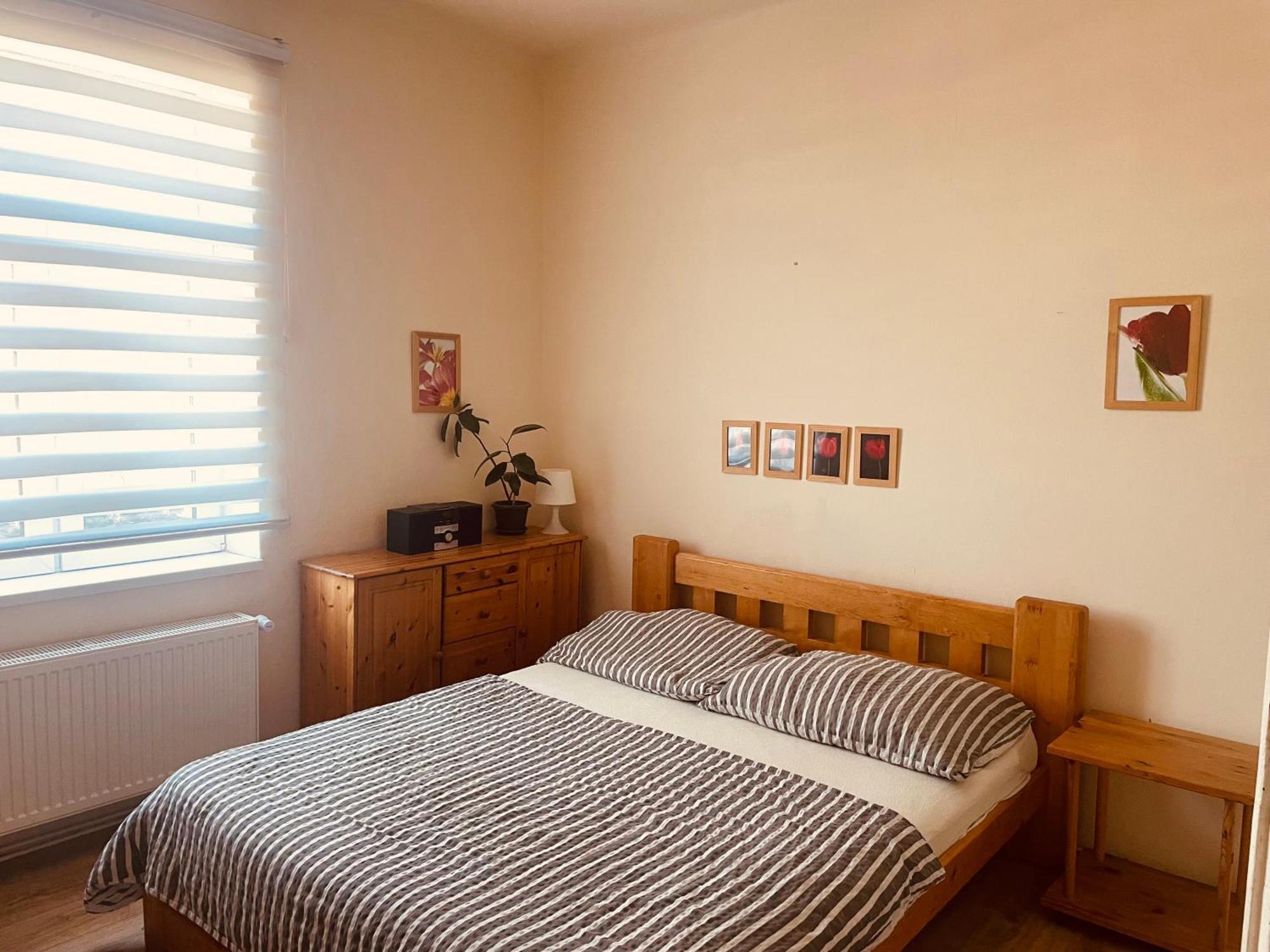Apartman Lucian 프라하 외부 사진