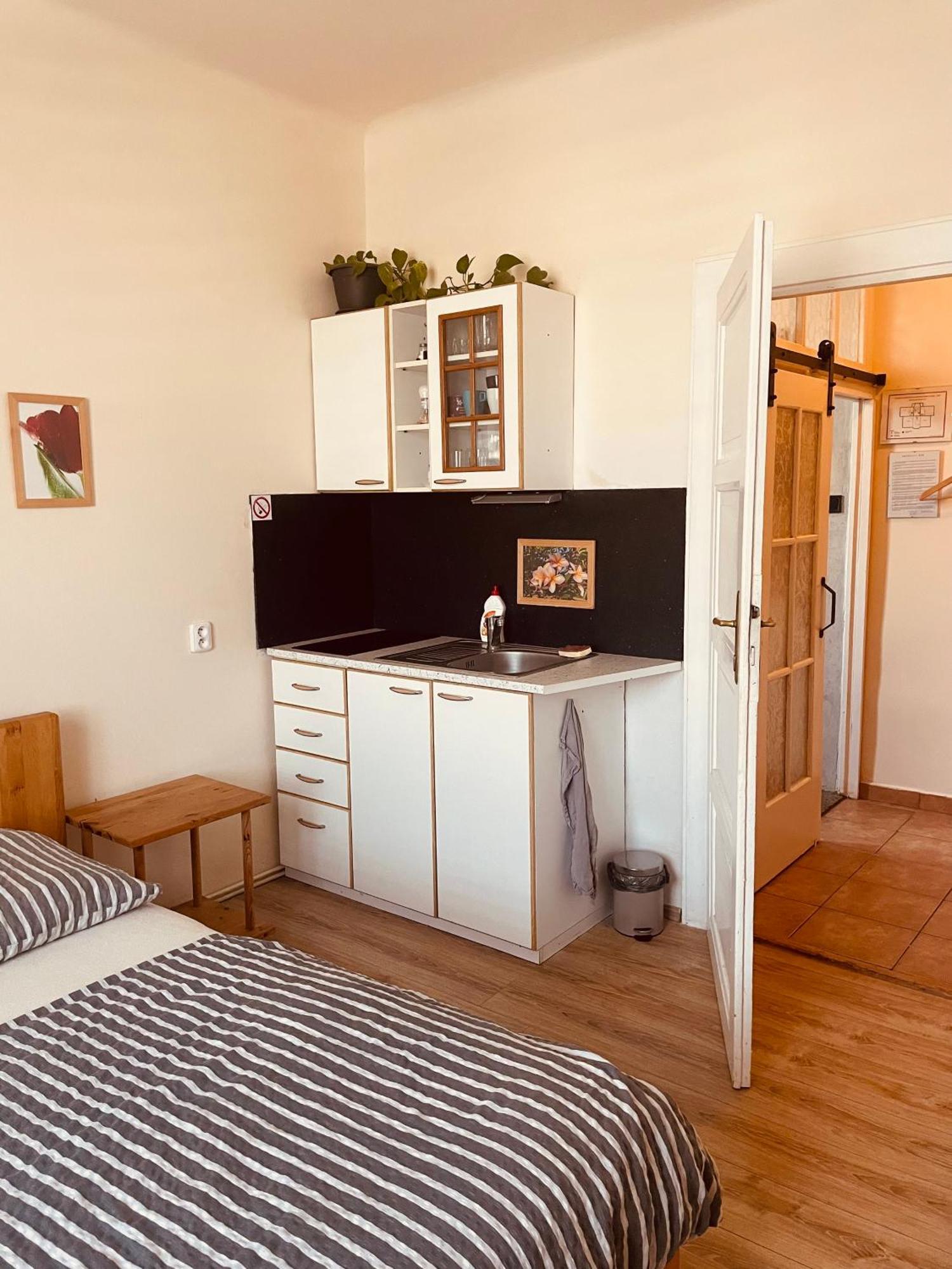 Apartman Lucian 프라하 외부 사진